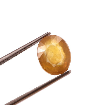 Yellow Sapphire (Pukhraj) (7.29 Carat, 7.94 Ratti) - WorldOfOorja