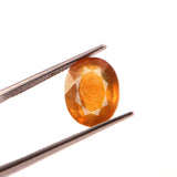 Yellow Sapphire (Pukhraj) (7.34 Carat, 8 Ratti) - WorldOfOorja