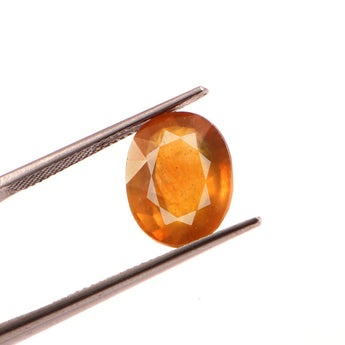Yellow Sapphire (Pukhraj) (7.34 Carat, 8 Ratti) - WorldOfOorja