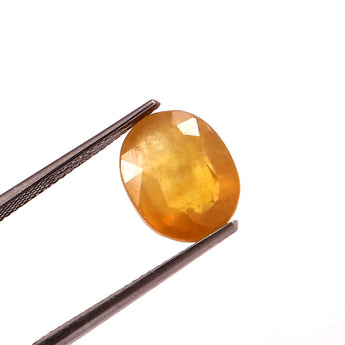 Yellow Sapphire (Pukhraj) (7.51 Carat, 8.18 Ratti) - WorldOfOorja