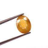 Yellow Sapphire (Pukhraj) (7.54 Carat, 8.21 Ratti) - WorldOfOorja